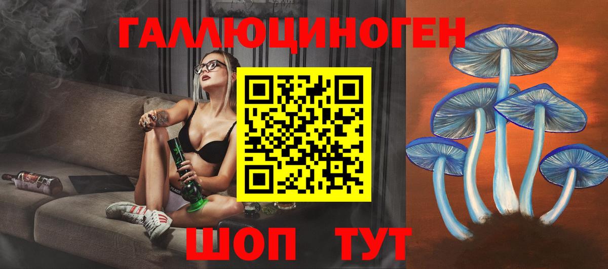 Галлюциногенные грибы Psilocybe  Вход с VPN  купить  цена  Лосино-Петровский 
